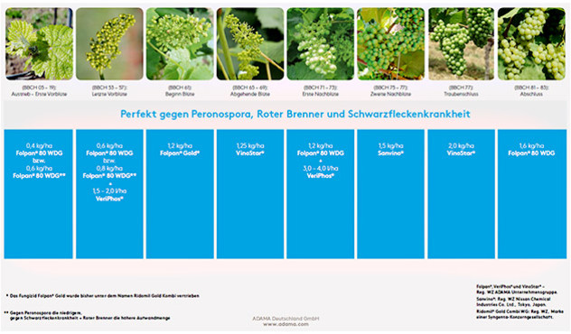 Kulturen - Wein - Spritzplan - AT