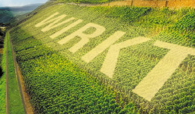 Produkte- Weinbau - SANVINO - Content
