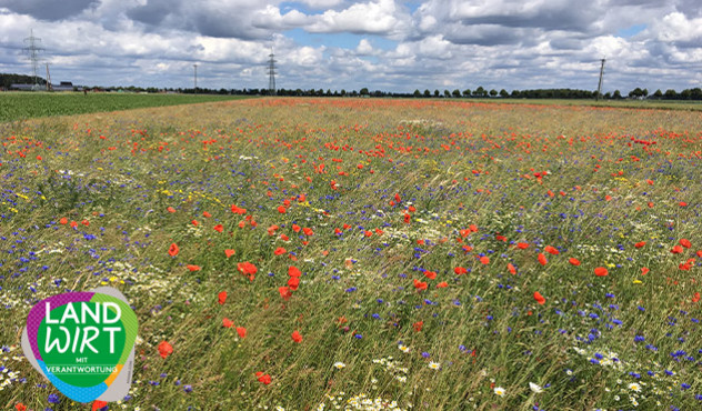 Landwirt mit Verantwortung - Content - Artenschutz