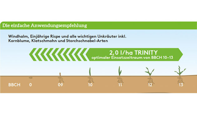 Anwendungsempfehlung Trinity