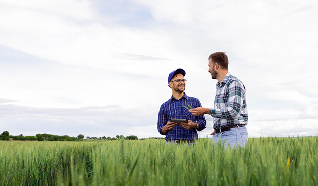Landwirt mit Berater im Gerstenfeld