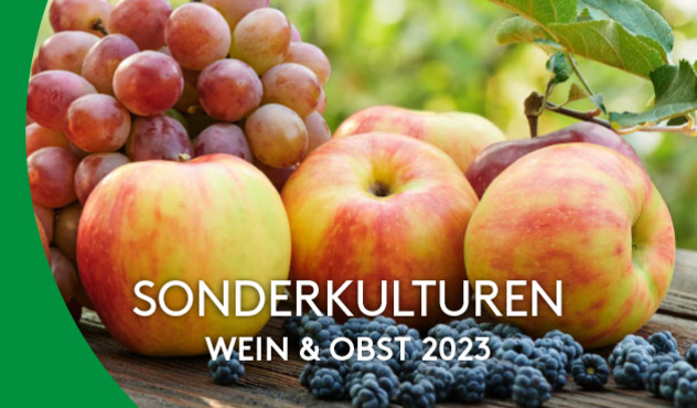 Broschüre Sonderkulturen Wein & Obst 2023