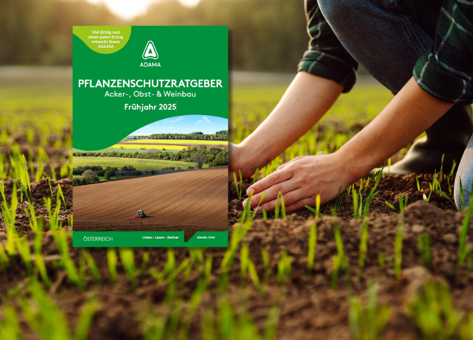 Frühjahrsbroschüre AT Header