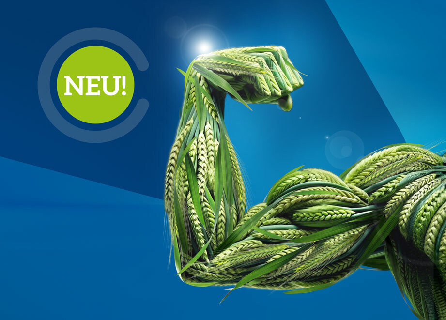 Avastel Pack Header