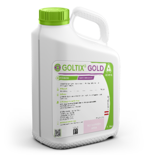 GOLTIX® GOLD