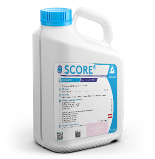 SCORE®