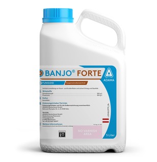 BANJO® FORTE