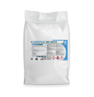 MERPAN® 80 WDG