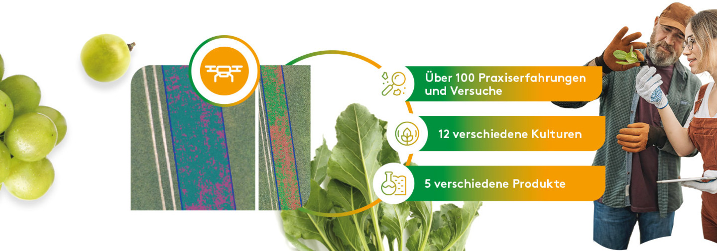 Biologicals - Versuchsauswertung