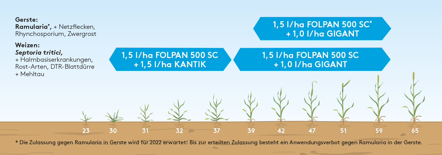 Anwendungsempfehlung Folpan 500 SC