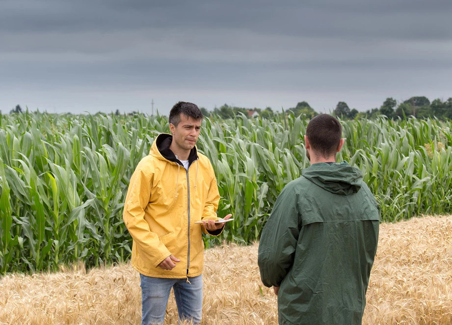 bigstock-Farmers-With-Tablet-In-Barley