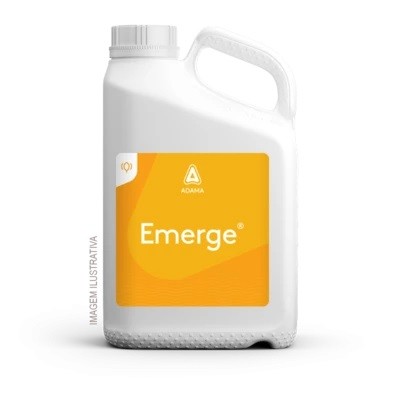 Emerge