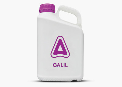 Galil