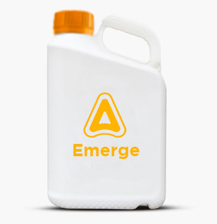 Emerge