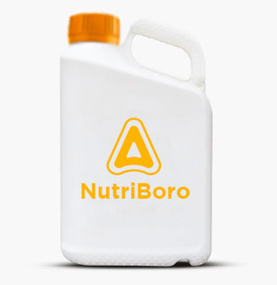 Nutriboro
