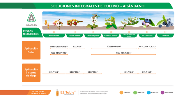 Fenograma SIC Arándano