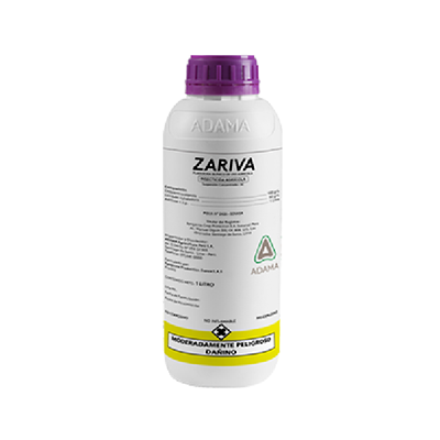 Zariva
