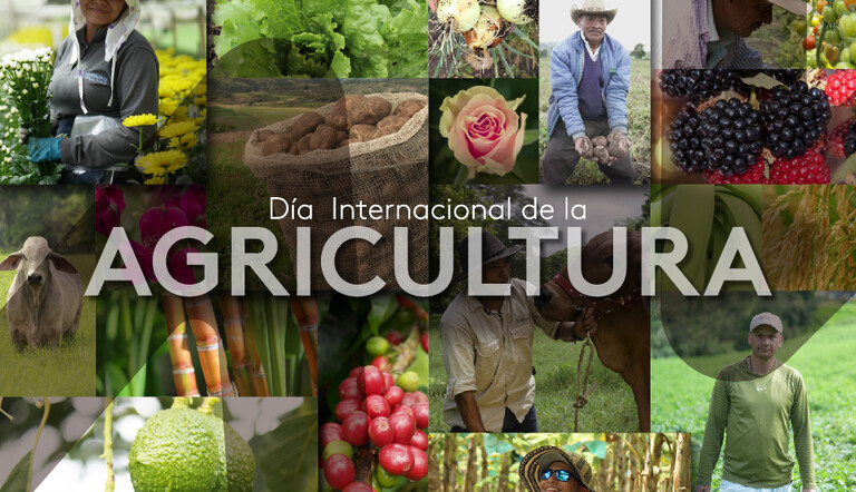 Día Internacional de la AGRICULTURA