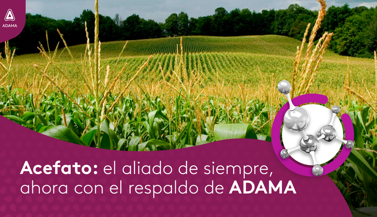 Acefato, como como funciona