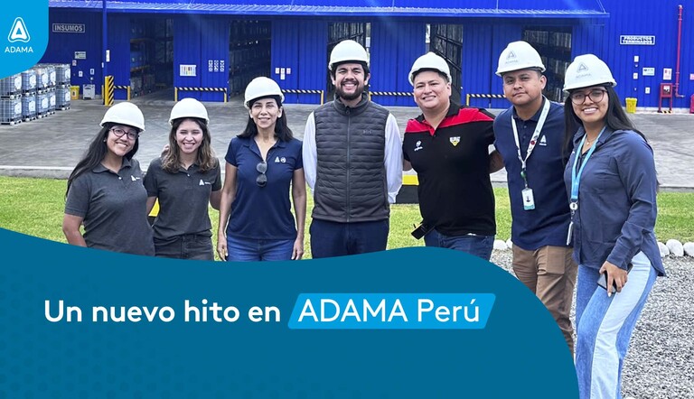 Almacén Adama