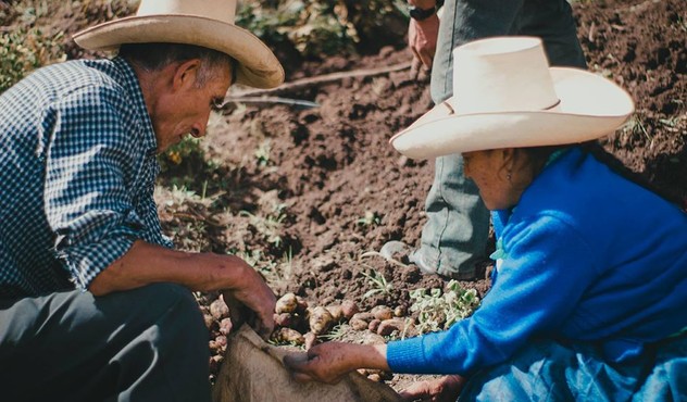 agricultores peruanos 2