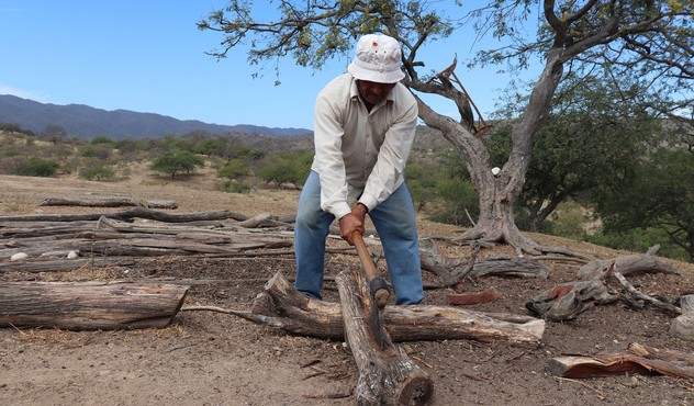 Agricultor Peruano 2