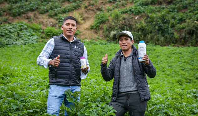 Agricultor papa sierra 