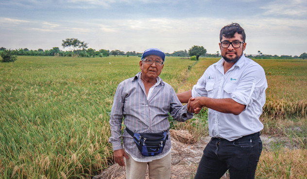 Agricultor arroz Chiclayo