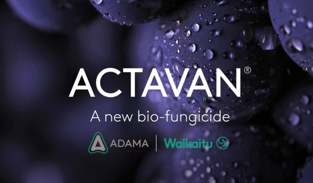 Actavan bio fungicida