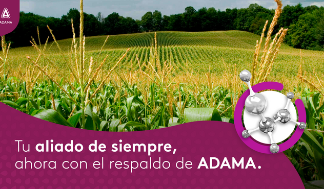 UN NUEVO ALIADO ESTRATÉGICO EN ADAMA