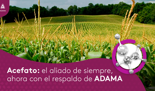 Acefato, como como funciona