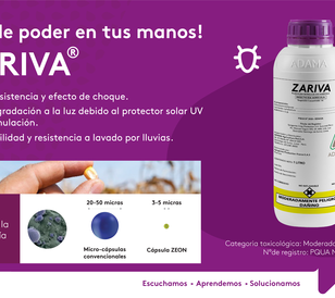 Formulación Zariva