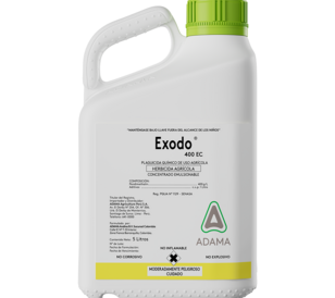 EXODO 400 SC