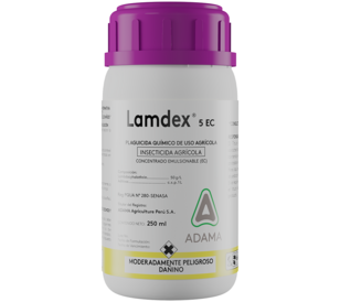 LAMDEX