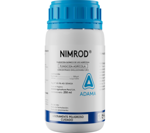 Nimrod