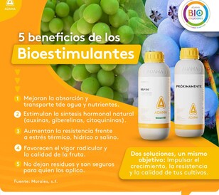 5 beneficios de los bioestimulantes 