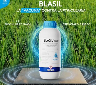 Blasil