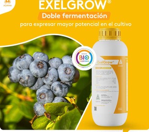 ExelGrow