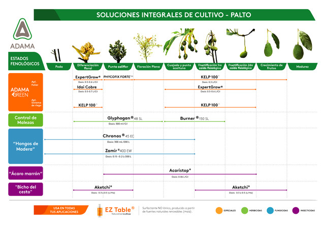 Manejo Integrado de Palto Hass