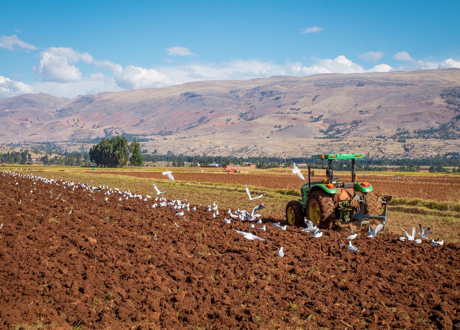 Tractor Perú