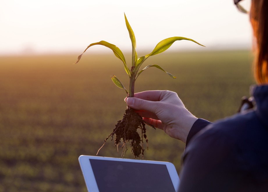 Agro Futuro