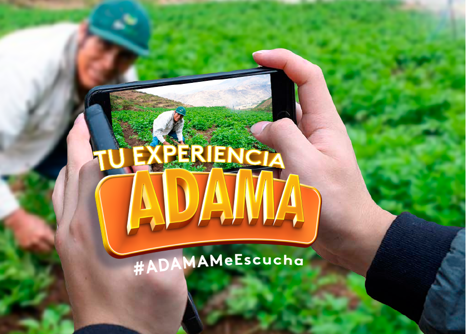 Tu Experiencia ADAMA 2
