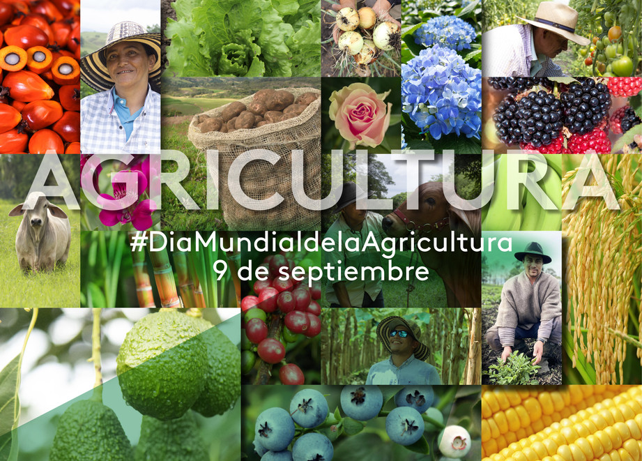 09 de setiembre Día Mundia de la Agricultura