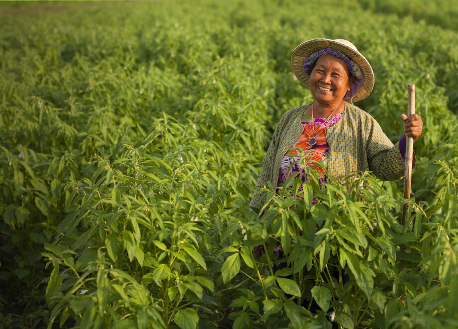 Agricultora Perú Adama