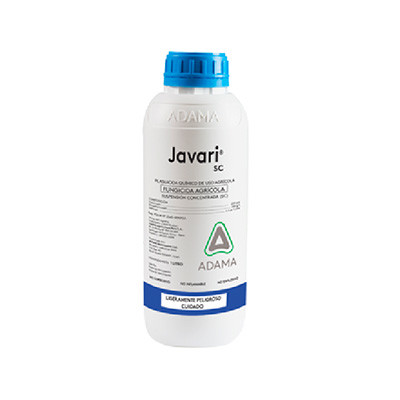 Javari