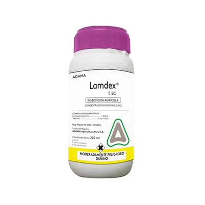 Lamdex