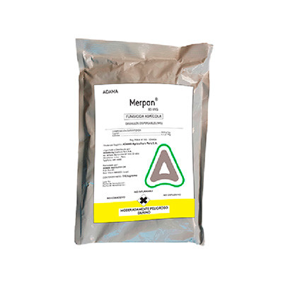 Merpan