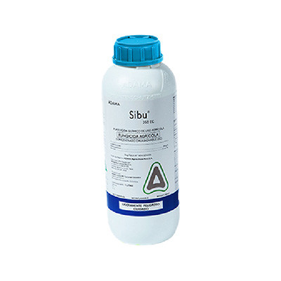 Sibu