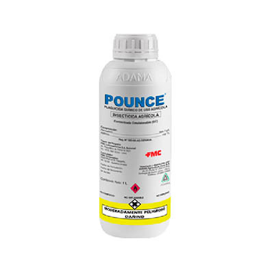 POUNCE