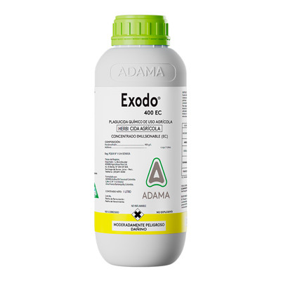 Exodo